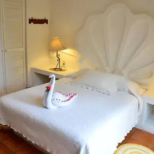 https://las-palmas-palma-xiat-cocoyol.tulum-hotels.net